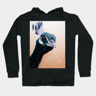 Pete's Peacock Hoodie